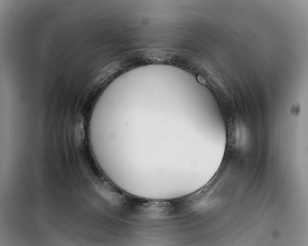 X0000099430128200805301437