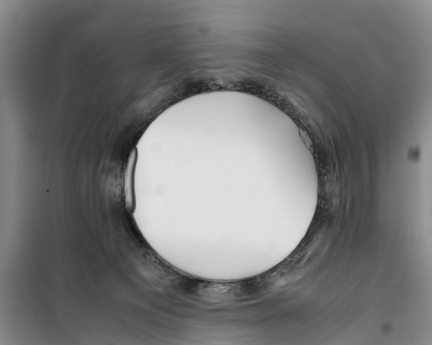 X0000099430129200805301437