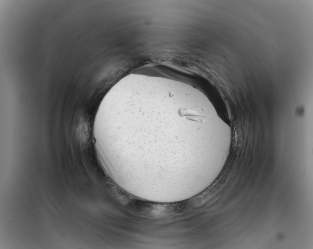 X0000099430130200805301437