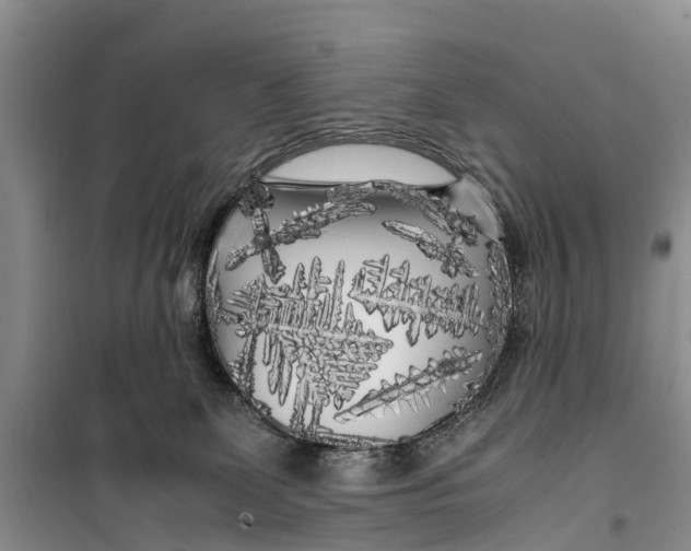 X0000099430131200805301437