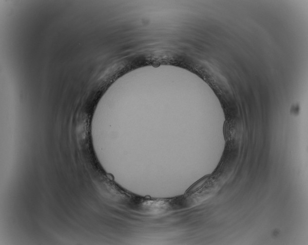 X0000099430133200805301437