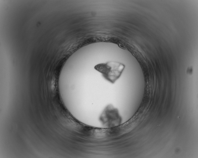 X0000099430134200805301437