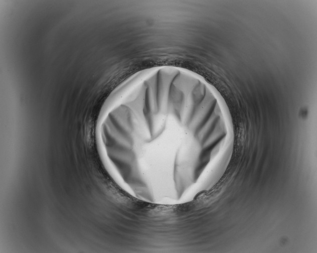 X0000099430138200805301437