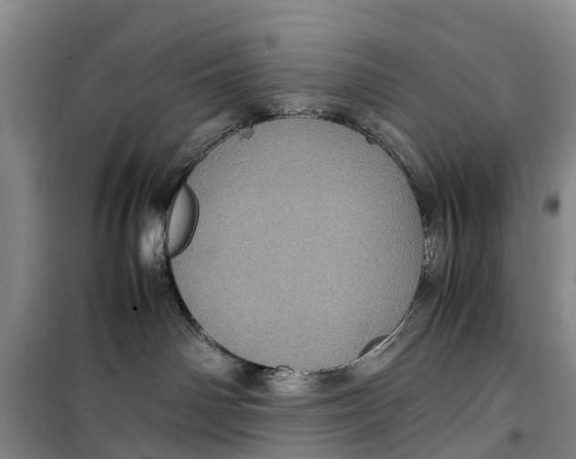 X0000099430142200805301437