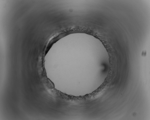 X0000099430144200805301437