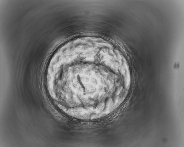 X0000099430145200805301436