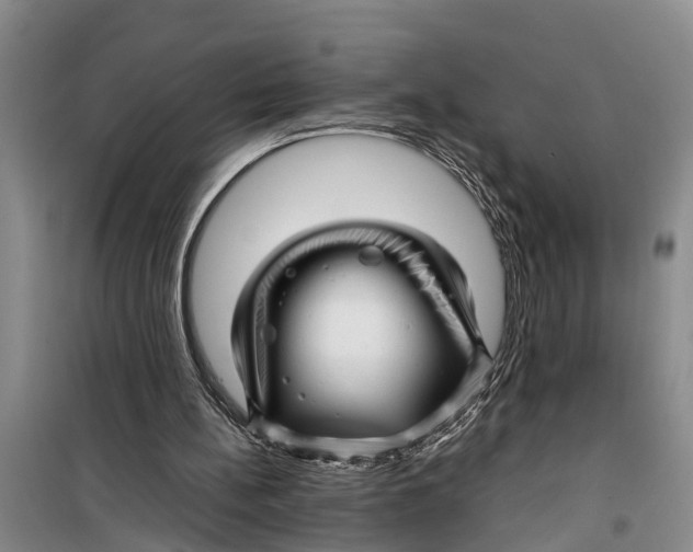 X0000099430148200805301436