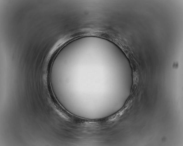 X0000099430150200805301436