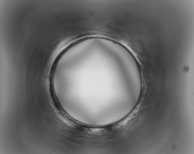 X0000099430151200805301436