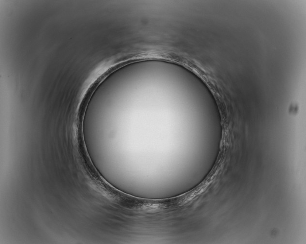 X0000099430152200805301436