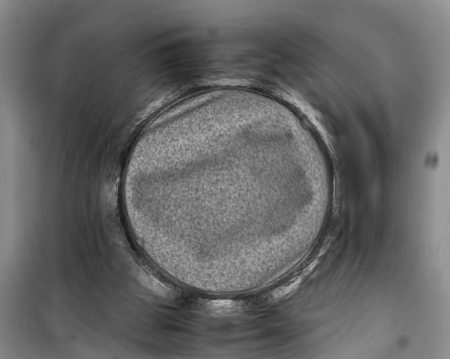 X0000099430153200805301436