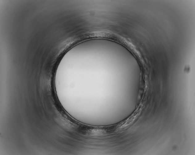 X0000099430154200805301436