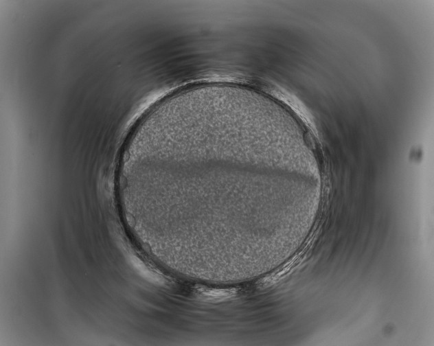 X0000099430155200805301436