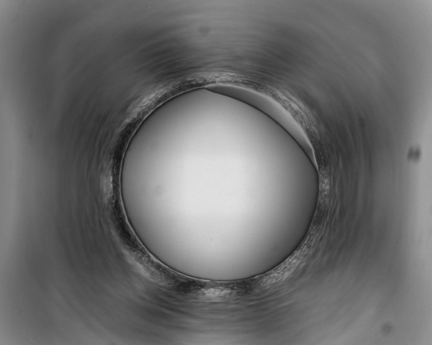 X0000099430158200805301436