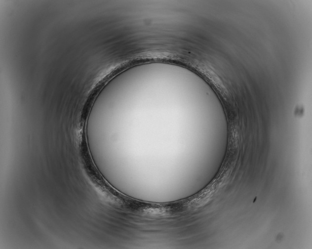 X0000099430160200805301436