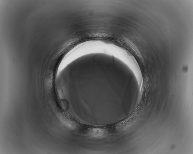 X0000099430163200805301436