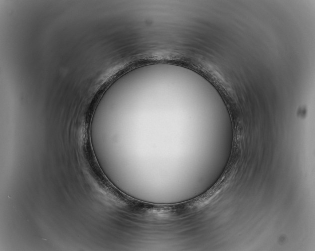 X0000099430164200805301436