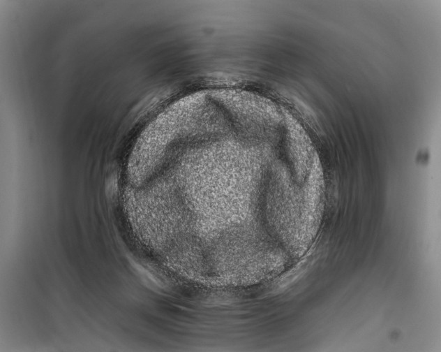 X0000099430166200805301436