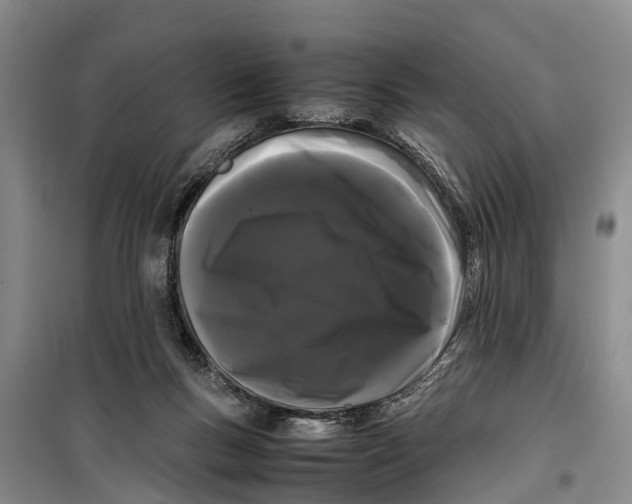 X0000099430167200805301436