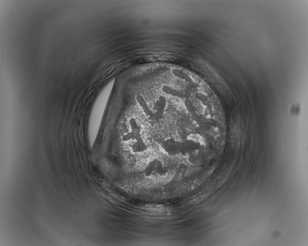 X0000099430169200805301436