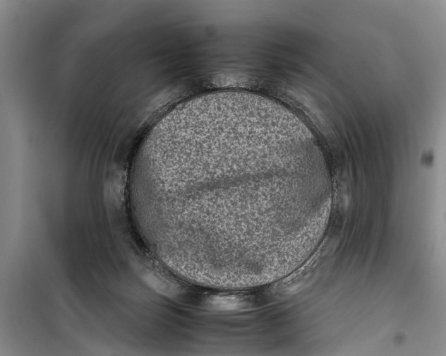 X0000099430171200805301437