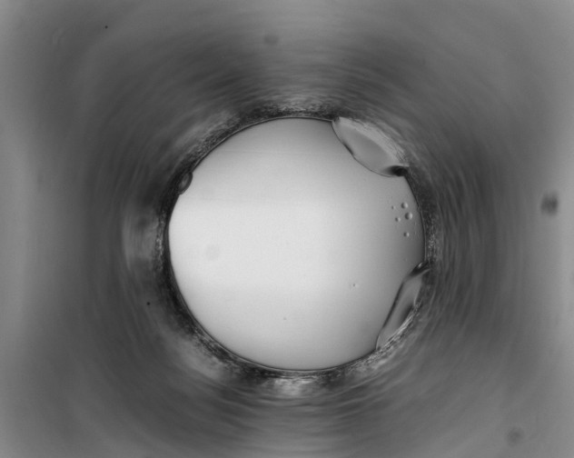 X0000099430172200805301437