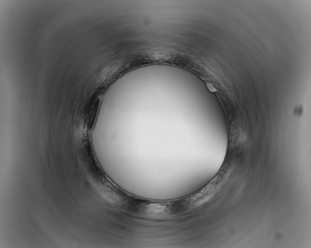 X0000099430176200805301437