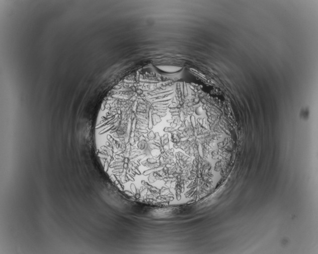 X0000099430178200805301437