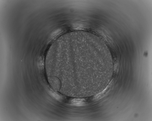 X0000099430179200805301437