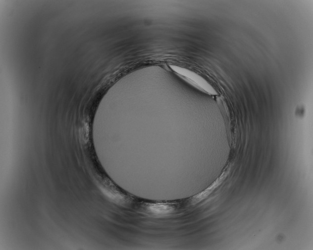 X0000099430183200805301437