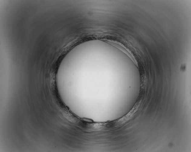 X0000099430184200805301437