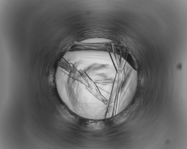 X0000099430185200805301437