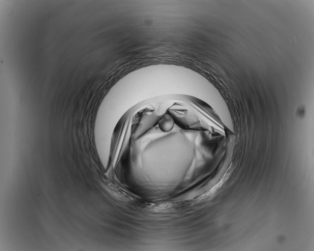 X0000099430186200805301437