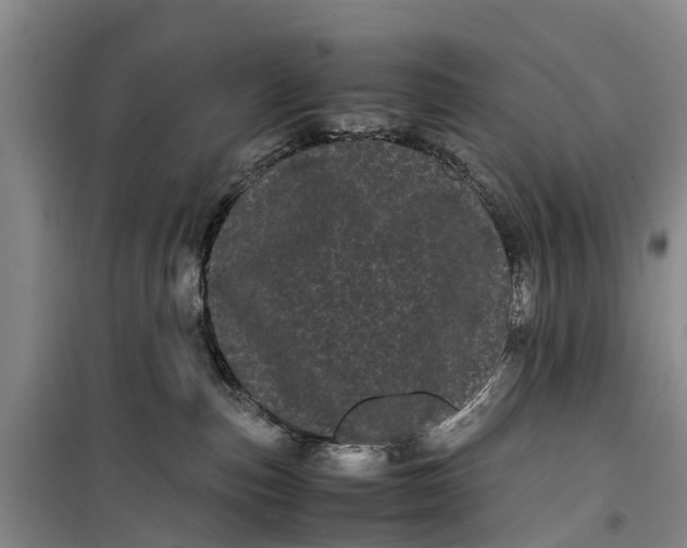 X0000099430187200805301437