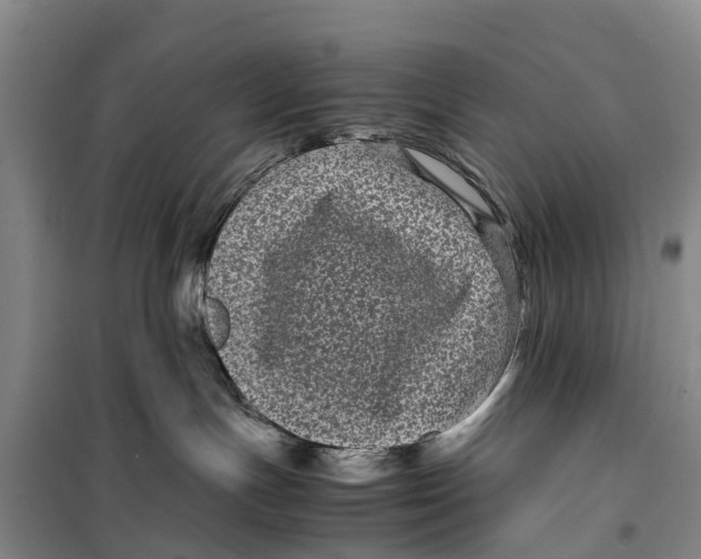 X0000099430191200805301437