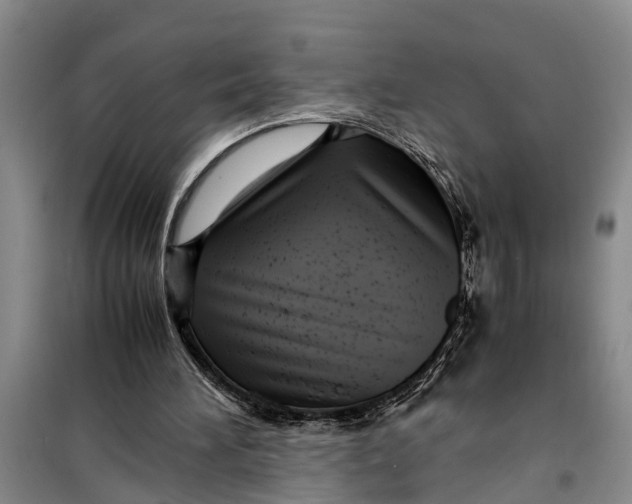 X0000099430196200805301436