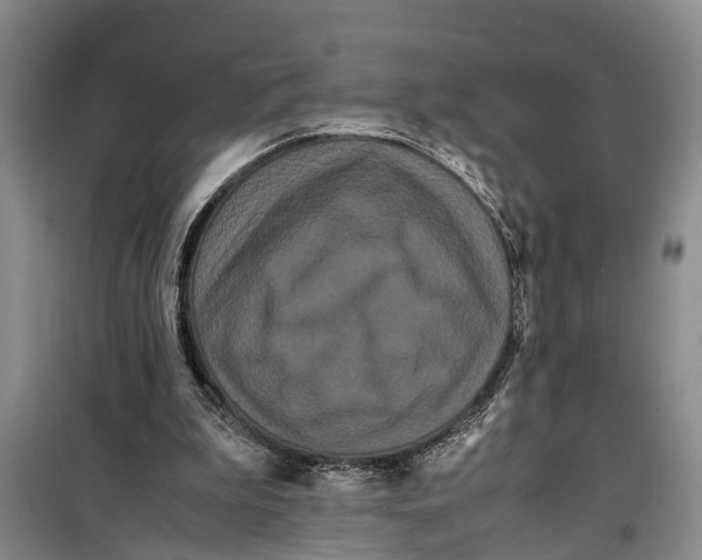 X0000099430199200805301436