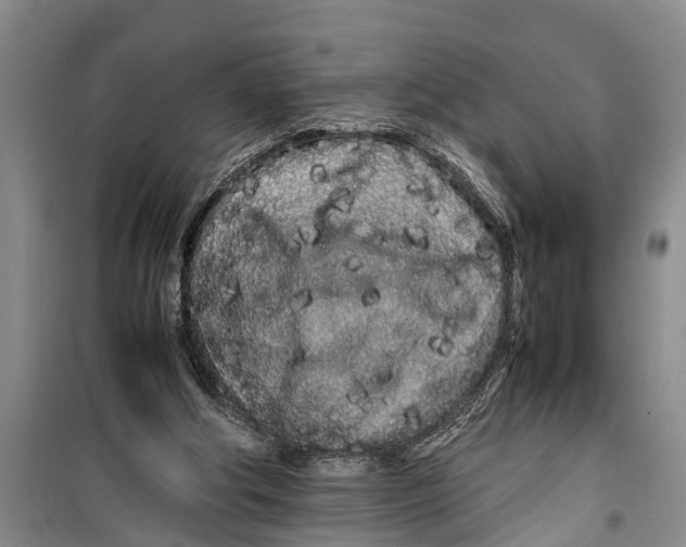 X0000099430202200805301436