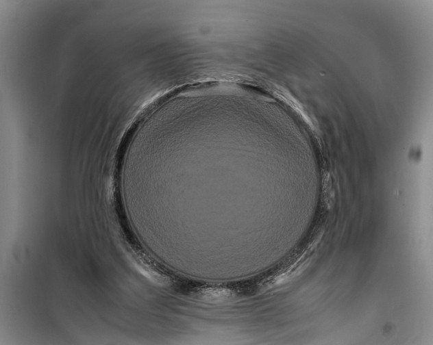 X0000099430203200805301436