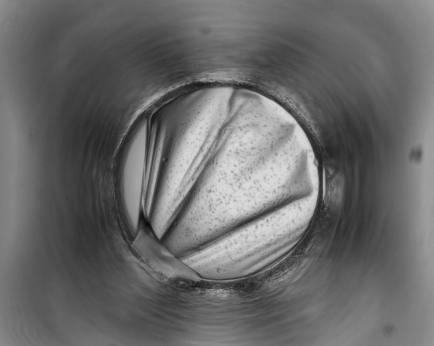 X0000099430204200805301436