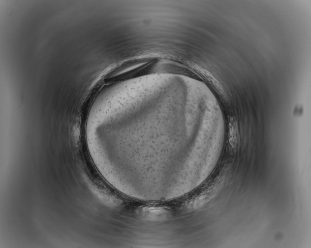 X0000099430208200805301436