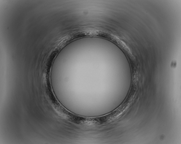 X0000099430209200805301436