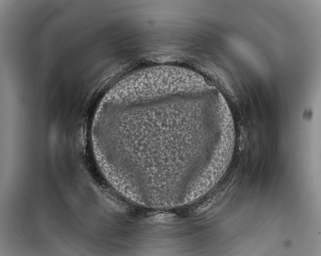 X0000099430210200805301436