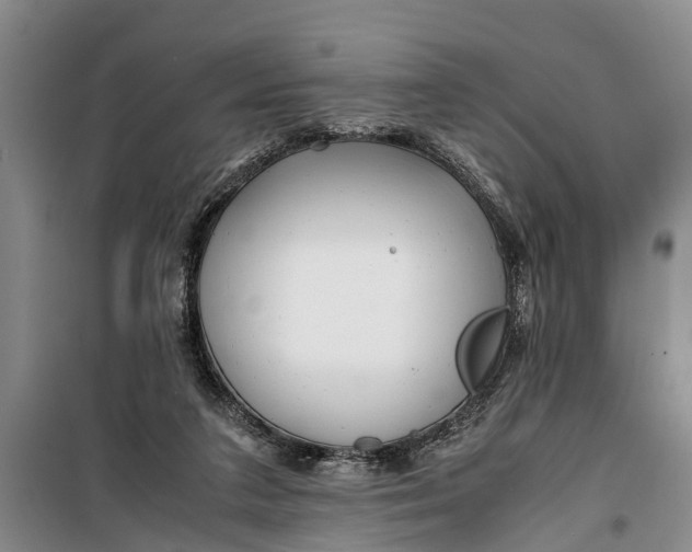 X0000099430211200805301436