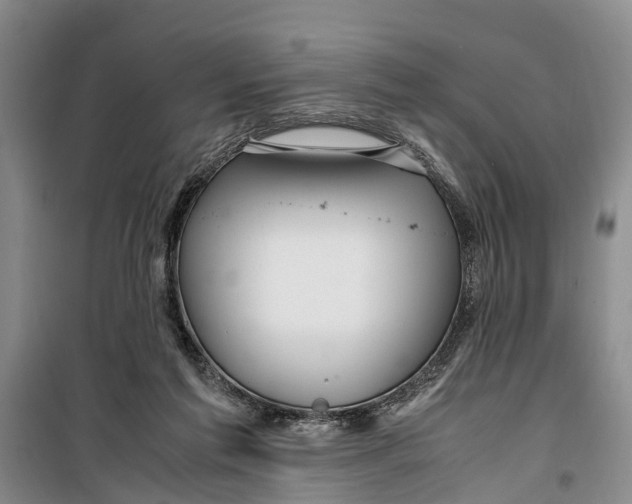 X0000099430213200805301436