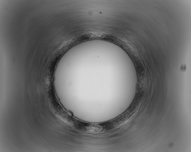 X0000099430215200805301436