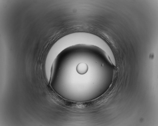 X0000099430217200805301436