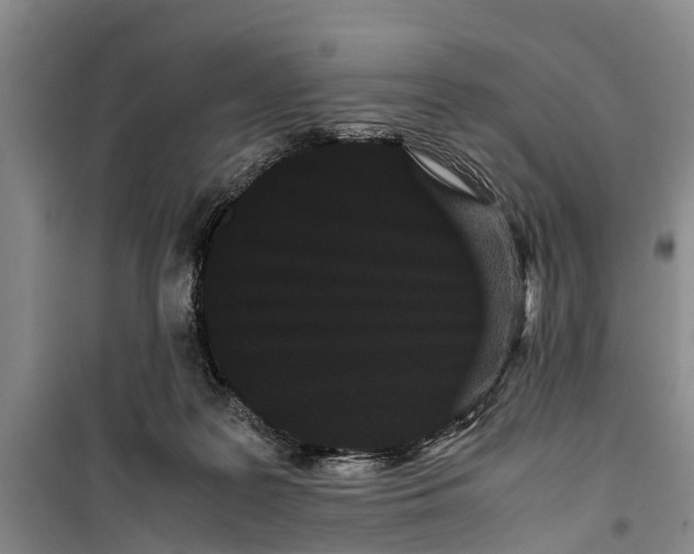 X0000099430219200805301436