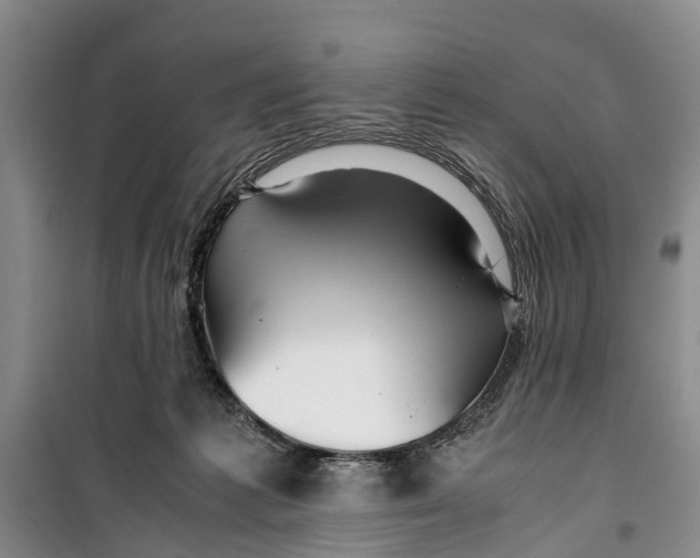 X0000099430221200805301436