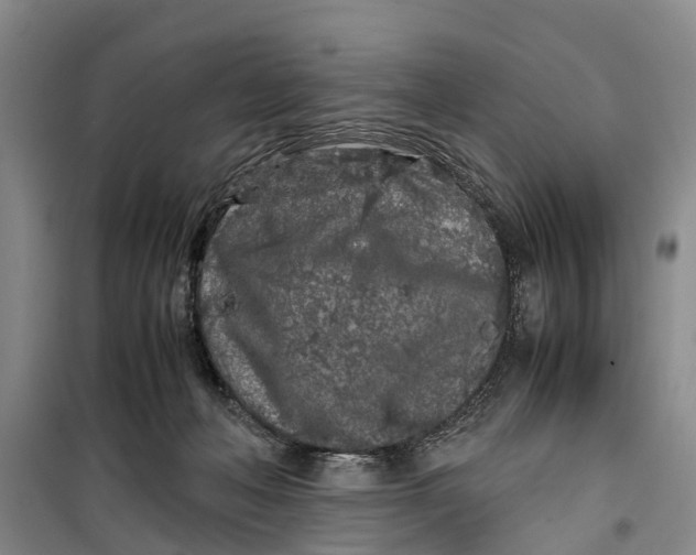 X0000099430222200805301436